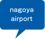 nagoya airport
