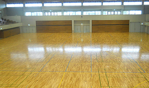 Okazaki Central Park Gymnasium